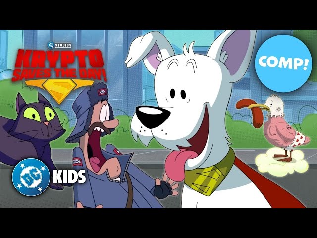 Krypto Saves the Day! Eps 1-4 💫 | FULL EPISODE COMPILATION 📺 | #KidsCartoons @dckids