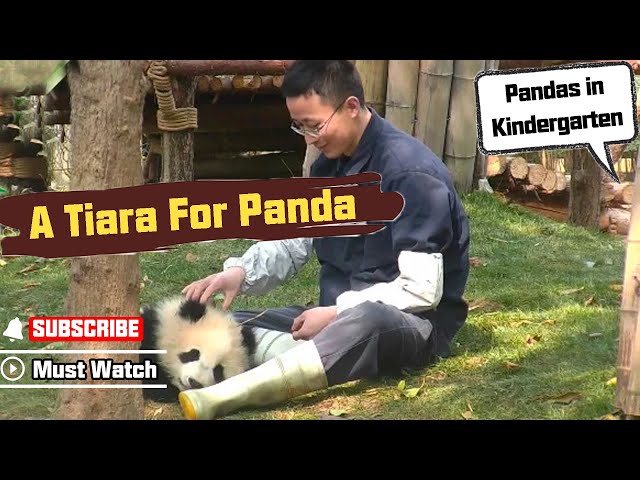Nanny Makes A Tiara For Panda Princess | iPanda