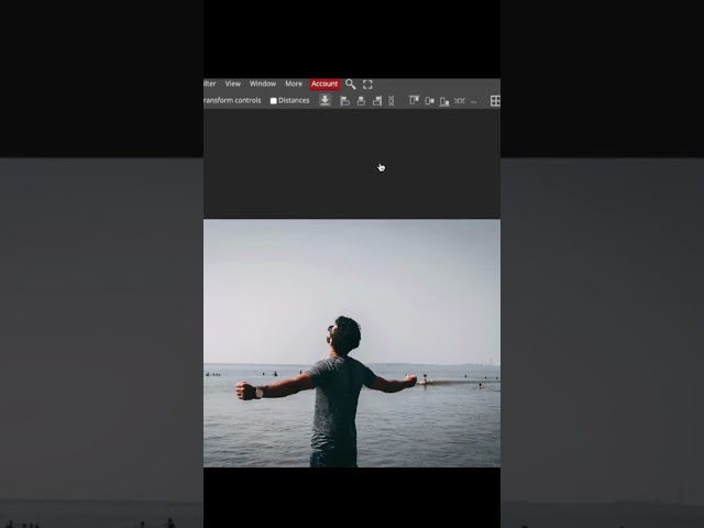 PHOTOPEA - Lesson 10 - Apply Filters, Correction and Lens Effects #photopea #filters #photoediting