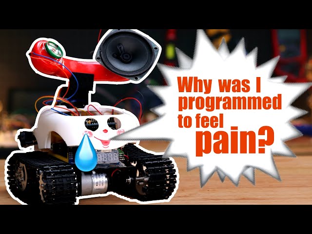 I BUILT A ROBOT WITH DEPRESSION AND ANXIETY