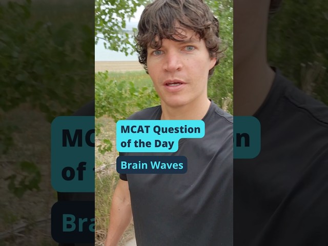 MCAT Question of the Day: Brain Waves