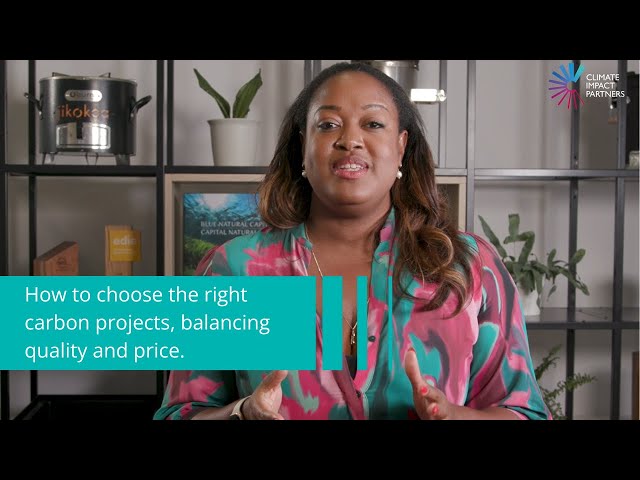 How to Choose the Right Carbon Projects for Your Company | 6 Steps to Balance Quality & Cost