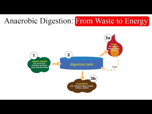Anaerobic Digestion: From Waste to Energy