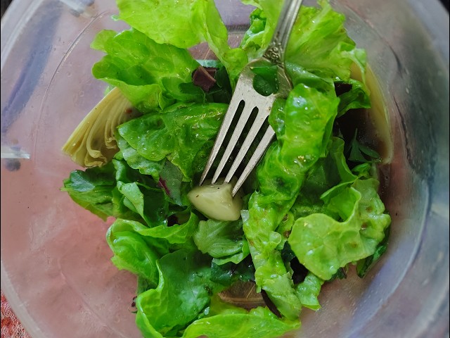 hydroponics 101 -  Lettuce and Peppers and Kale, oh my!    04.04.6         Plants Are People Too!