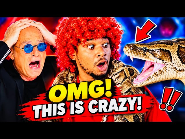A Live Python Appeared Out Of Nowhere! 😳🐍 The Audience Went Crazy! #viralvideo #shorts 