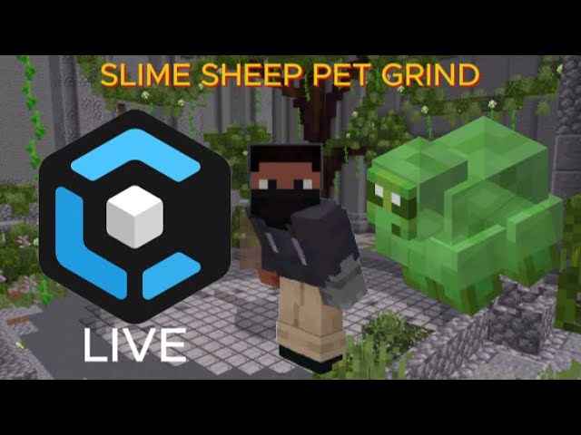 CraftersMC Skyblock: Epic Slime Sheep Pet Grind (No Commentary) [LIVE]