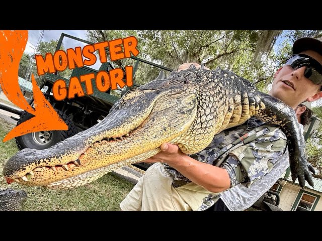Protecting A Florida Cattle Ranch From MONSTER ALLIGATORS