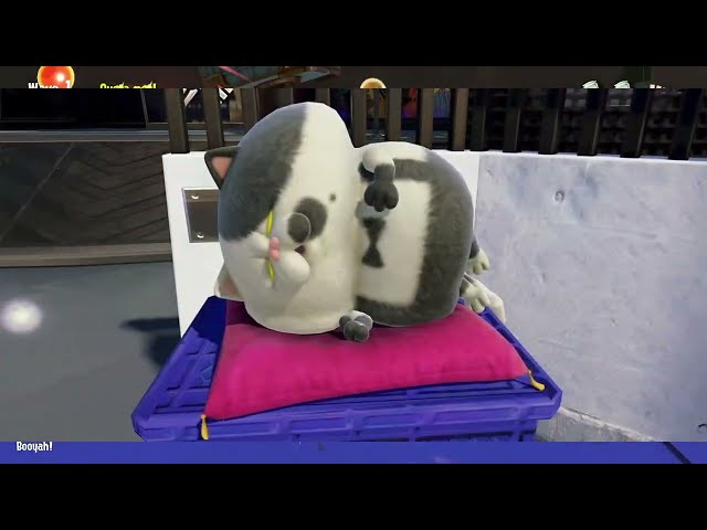 lil judd grizzco theory v1