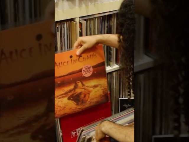 RECORD SAFARI’s Amazing Record Collection!