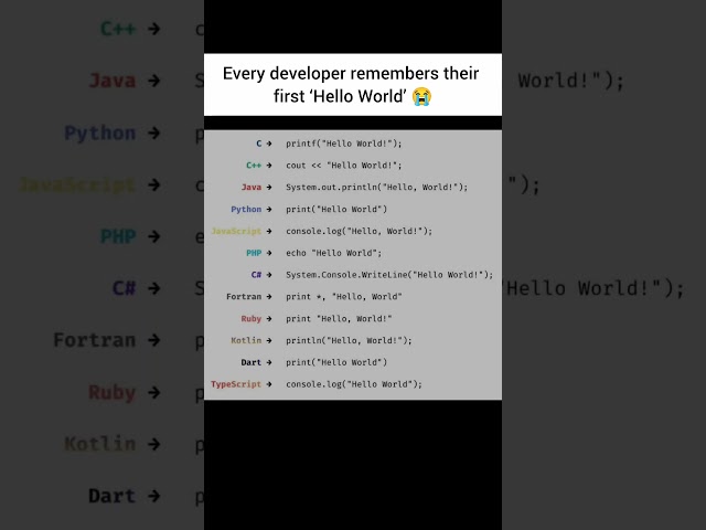 Every Developer Remembers Their First “Hello World” 😭💻 #developer #coding #programming #tech #python