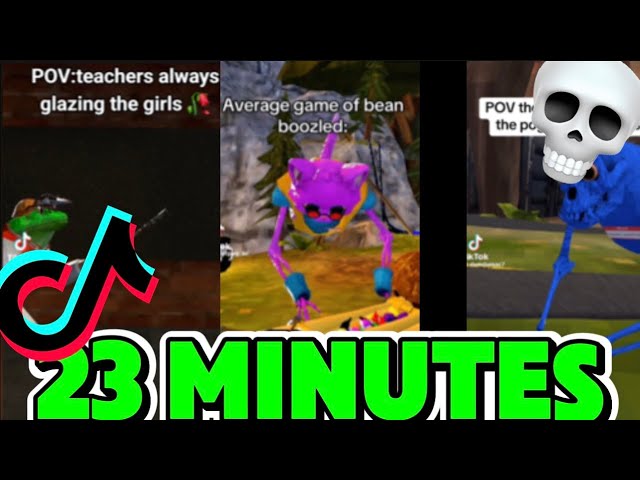23 MINUTES OF PEAK ANIMAL COMPANY MEMES