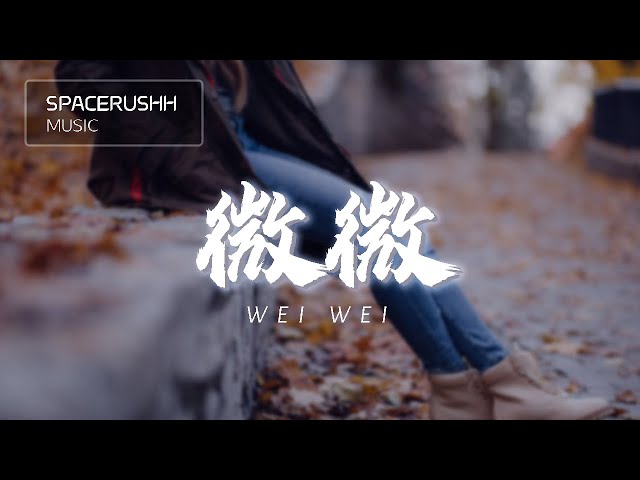 微微 Wei Wei - 傅如乔 Fu Ru Qiao 拼音 [PINYIN LYRICS]