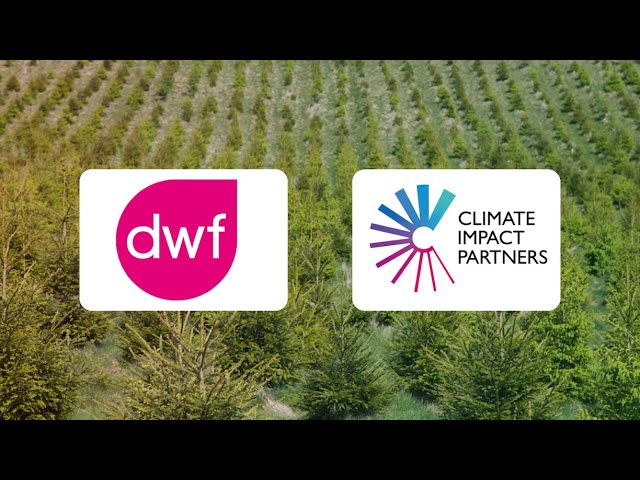The DWF Forest: Planting a Living Legacy for Future Generations in the Scottish Borders