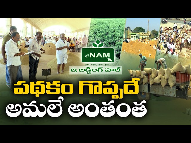 రైతులకు మద్దతు ధర అందించాల్సిన ఈ-నామ్‌.. ఎందుకు మందగించింది? || idisangathi