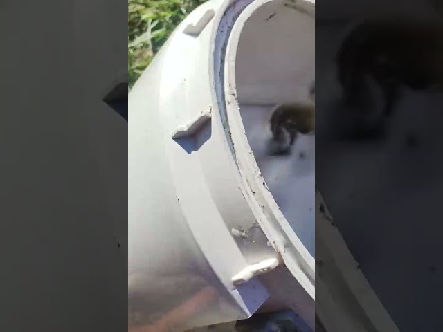 Car seat shampoo result
