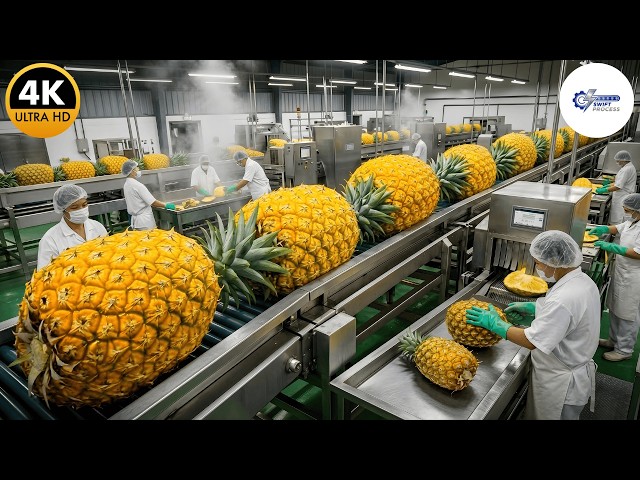 Inside the Factory: Mass Producing Tons of Dried Pineapples (Full Process)