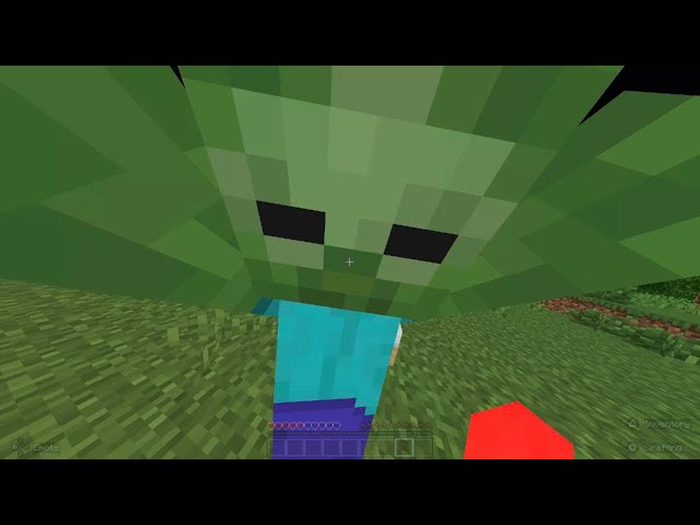 Minecraft Bugrock Incident: PS5