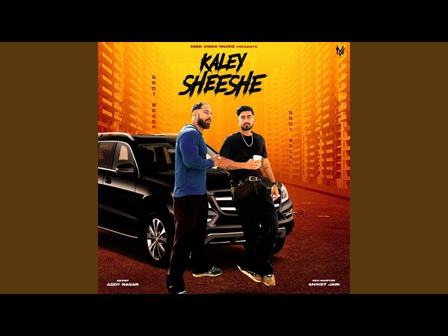 Kaley Sheshe