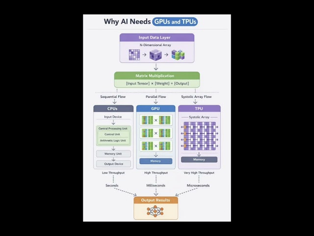 why AI need GPU & TPU#coding #python #ai