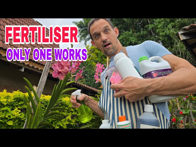 What is the BEST Fertilizer for Orchids ?  Expert 's secret to Choosing  Orchid Fertilizer