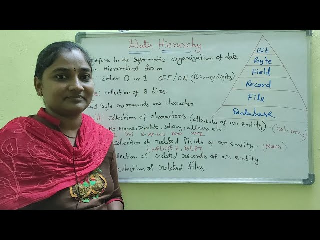 DBMS ||DBMS Hierarchy Terminology || DBMS Both in Telugu And English || Telugu Scit Tutorials