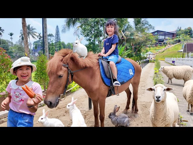Horse Riding, Feeding Sheep, Rabbits, and Pygmy Goats - Getting to Know Animals