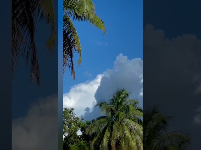 Weather Vocabulary #Rain #Cloud #Sky #LearnBangla #LearnBengali