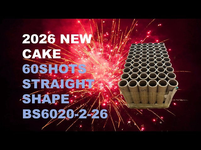 2026 NEW BS6020-2-26 20*25*125MM 60SHOTS STRAIGHT SHAPE F2 CAKE