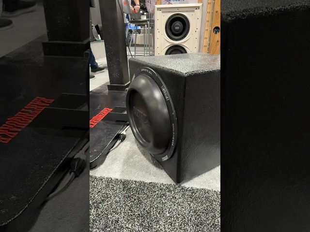 Too much bass??