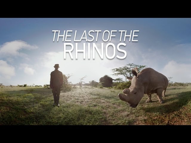 GoPro VR: The Last of the Rhinos