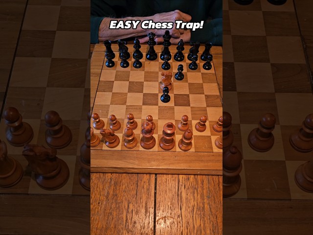 Learn This EASY Chess Trap #chess #chesstraps #chessopening #chesstutorial #chesstricks