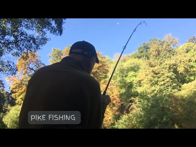🎣 Angling || A great start to my pike dead baiting season 