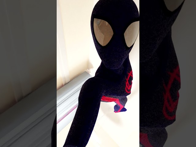 Spider Man came to my house!