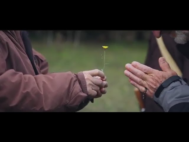 Uncommon Conversations:  Thich Nhat Hanh and Br. David Steindl-Rast and Gratefulness