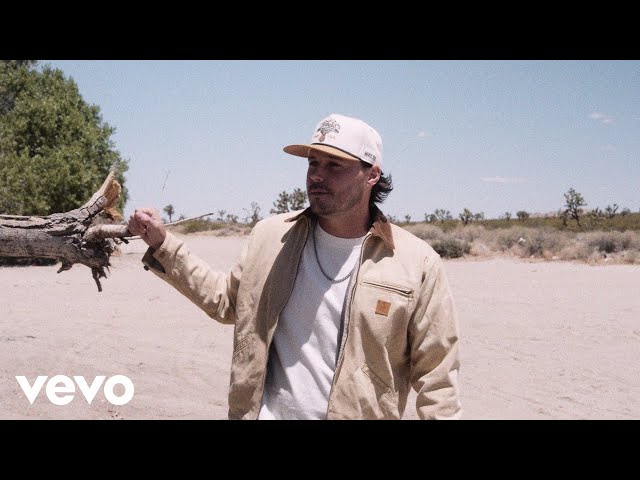 Josh Ross - Hate How You Look (Visualizer)