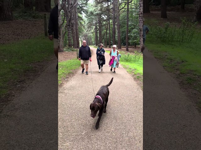 Sandringham estate family walks