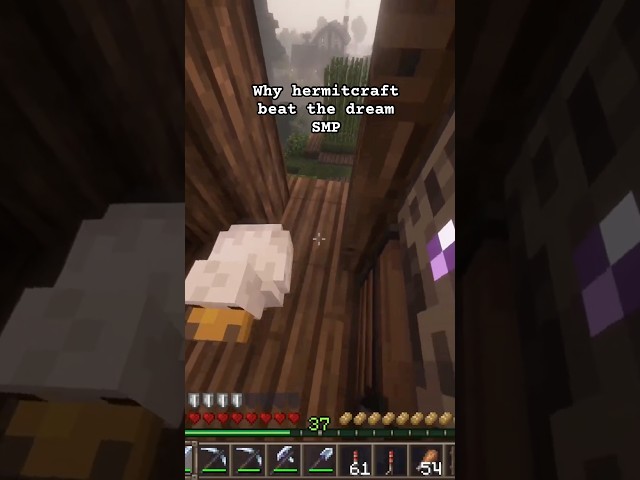 Hermitcraft VS DreamSmp #dreamsmp