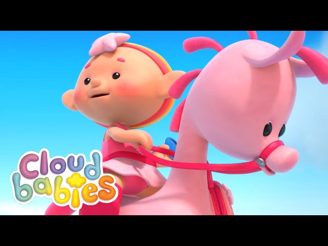 Searching High & Low Song 🎵  | Cloudbabies Song | Cloudbabies Official