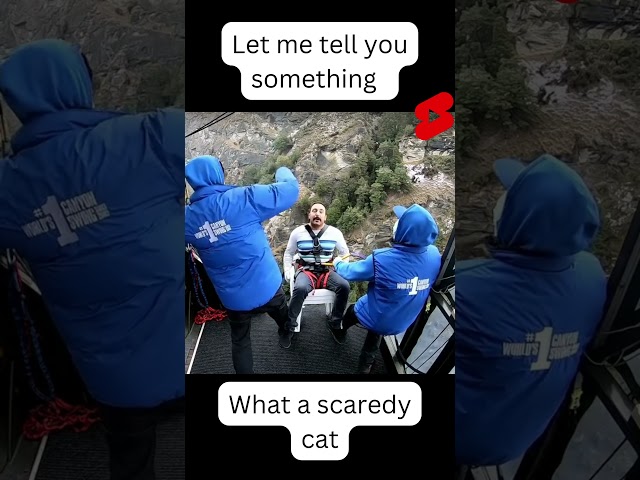 Let me tell you something bungee jumping funny shorts #shorts #bungeejumping