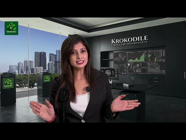 Krokodile Investors Deck Presentation