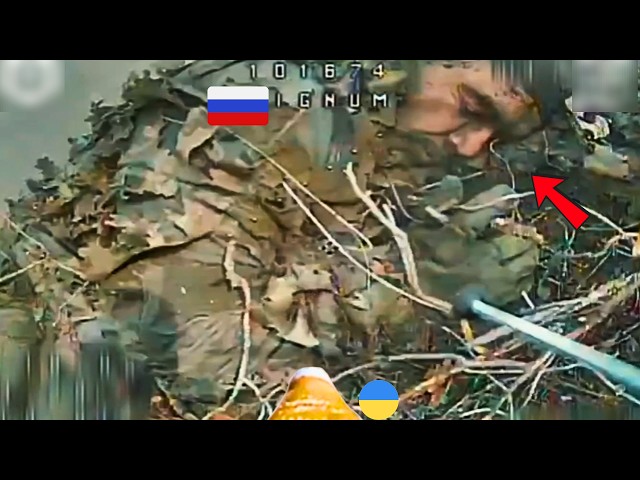 Ukrainian FPV Drone Dismantles Russian Frontline Moves | Ukraine War