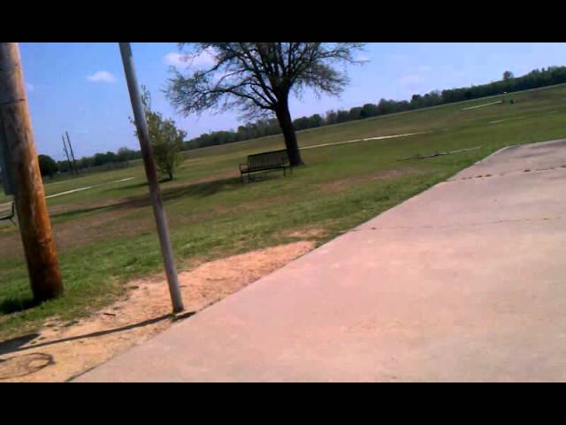 T.Swift Nasty Dunks