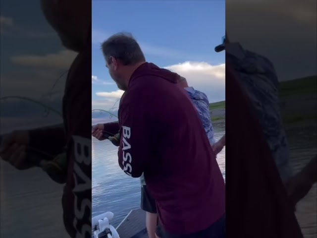 GIANT ALLIGATOR CAPTURED! 1/15 #viral #short #youtubeshorts #shorts #viralvideo #youtube #shortvideo