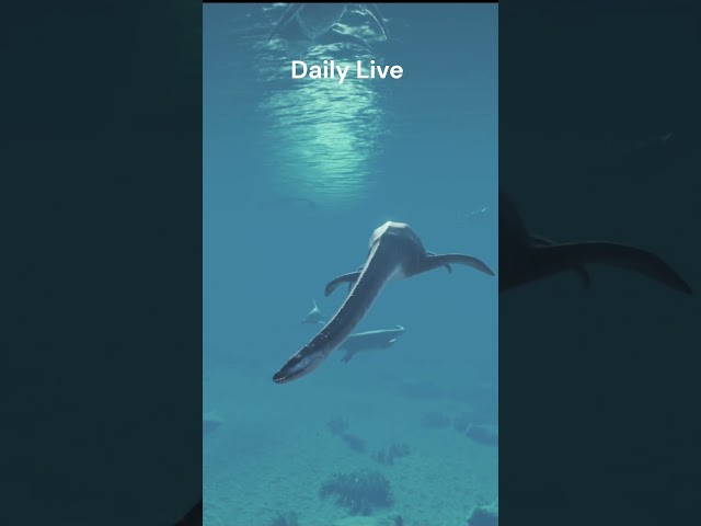 Jurassic world Release Attenborosaurus #shorts  #attenborosaurus