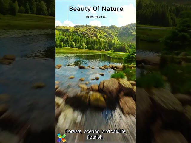 A future where #humans coexist with #nature #renewableenergy