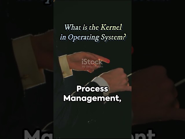What is the Kernel? | Operating Systems #computer #shorts
