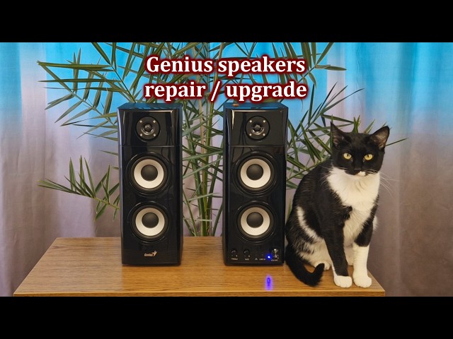 Genius speakers - repair / upgrade