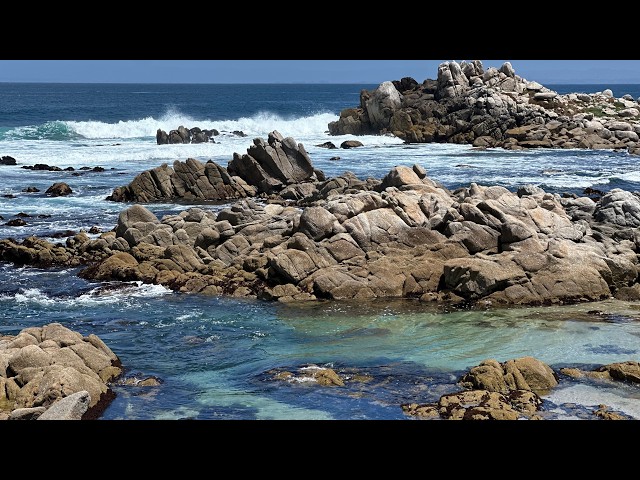 Wild Beach in Northern California, Windy Ocean Sounds - Gentle Waves Crashing on Rocks - 4K