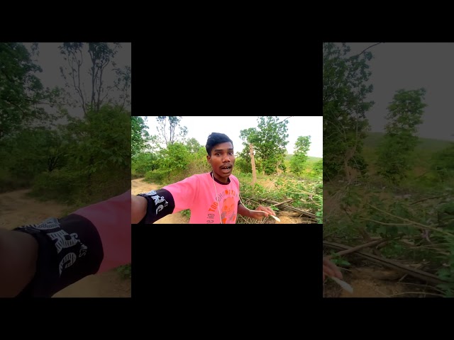 Mobile Charge #minivlog #vlog #shivbhaivlogs #shorts #trending #viral #viralshorts #vlogger