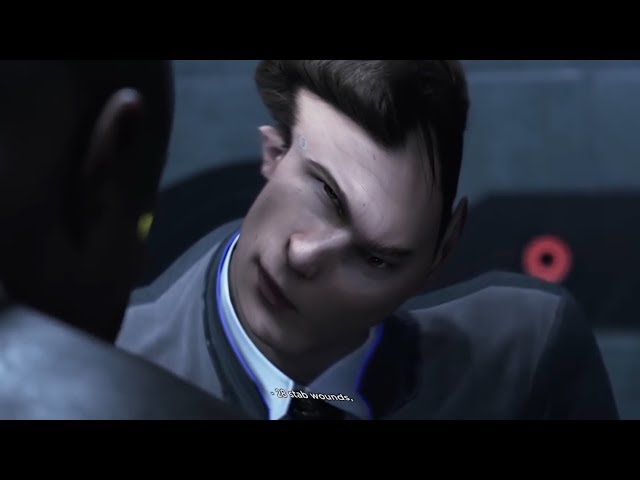 28 stab wounds